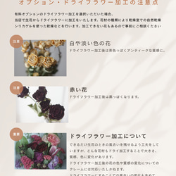  第7張的照片