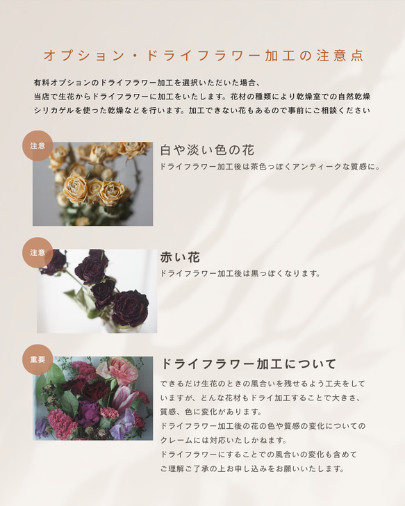  第7張的照片