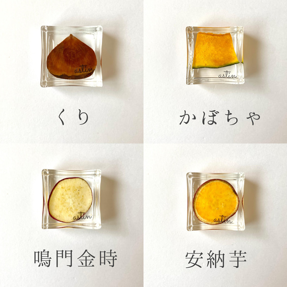 【方形】壓榨水果蔬菜筷架（送禮佳品） 第4張的照片