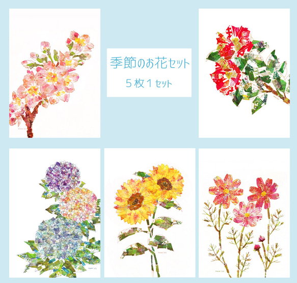 ポストカード「季節のお花セット」(5種類1セット) 2枚目の画像