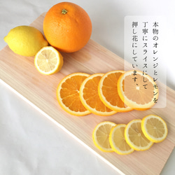 22a.レモン&オレンジ の スマホケース　全機種対応 2枚目の画像