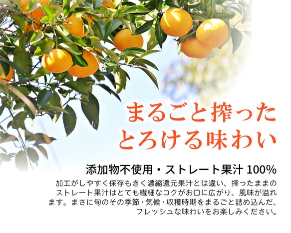 〈３本セット〉 ストレート果汁100%ジュース「いちずみの雫」200ml×3本【プレゼント・手土産・贈り物】 3枚目の画像