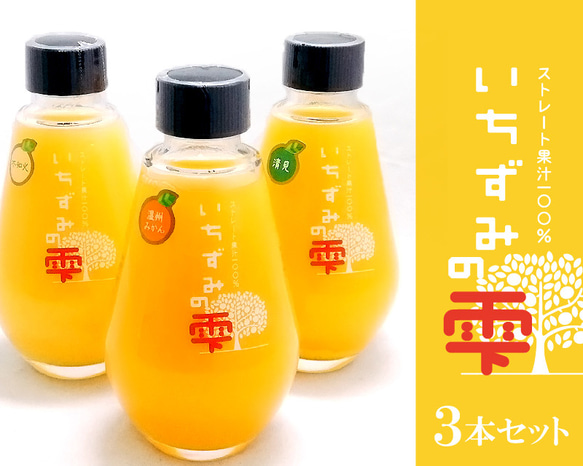 〈３本セット〉 ストレート果汁100%ジュース「いちずみの雫」200ml×3本【プレゼント・手土産・贈り物】 1枚目の画像