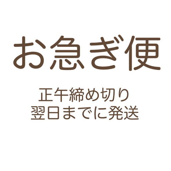 お急ぎ便 1枚目の画像