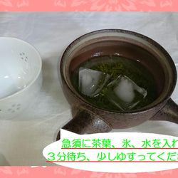 数量限定！【新茶100％】初摘み特上深蒸し緑茶　茶園NO,1 「純怜 (すみれ)」100g【全国送料185円】 5枚目の画像