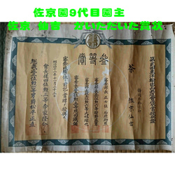 数量限定！【新茶100％】初摘み特上深蒸し緑茶　茶園NO,1 「純怜 (すみれ)」100g【全国送料185円】 11枚目の画像