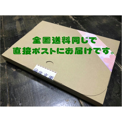 熱湯OK、コク強め！【新茶100％】深蒸し緑茶　茶園NO,5　「金谷 (かなや)」100g【全国送料185円】 12枚目の画像