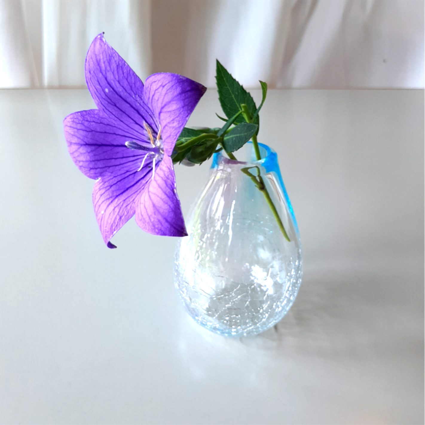 国産品 紫水晶 佐藤仏】 伊賀くみひも 色濃く ① 梵天3色 花てまり 花・観葉植物