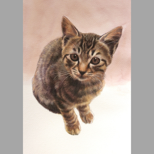 動物画、ペット画(本格水彩画)