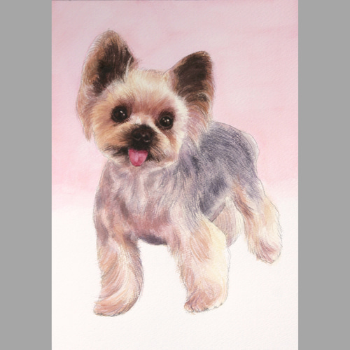 動物画、ペット画(本格水彩画)