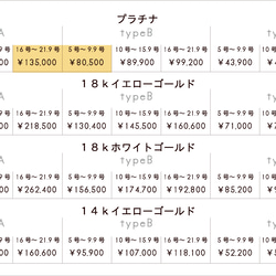 Pt900・甲丸・鏡面・typeA/typeB【ペアリング】 2枚目の画像