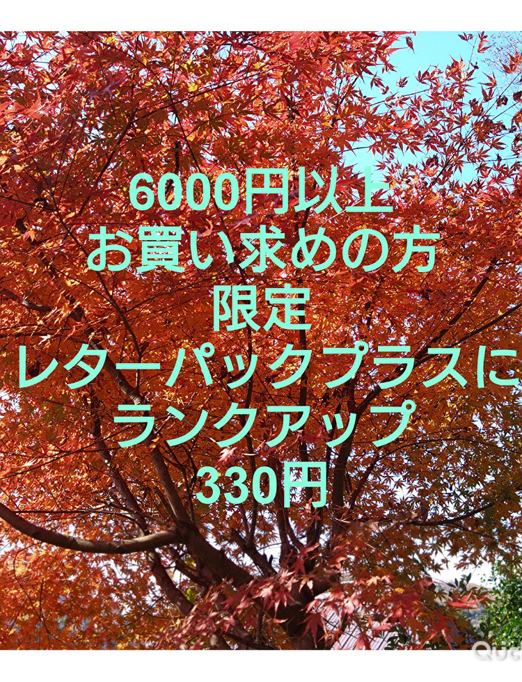 ６０００円以上お買い上げの方、限定（定形外郵便→レターパックプラス