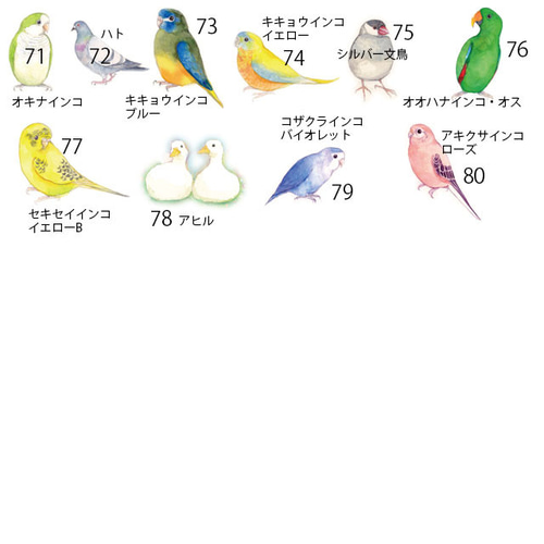 色鳥どり インコ マグカップ・美濃焼き（80羽の中からお好きな鳥