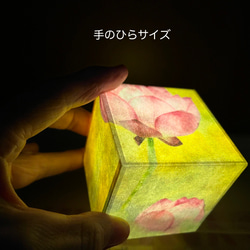  第4張的照片