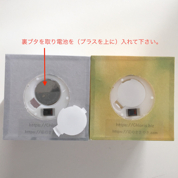  第6張的照片