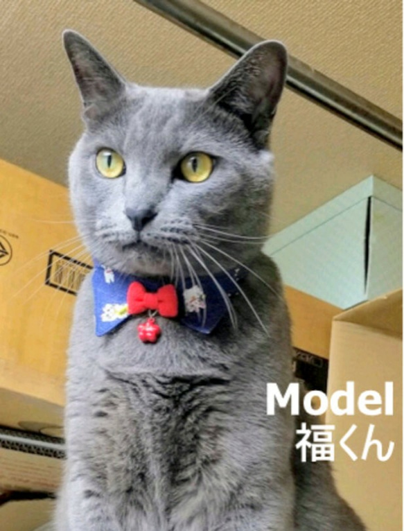 縁起のいい招き猫柄＊えり付猫ちゃん首輪 5枚目の画像