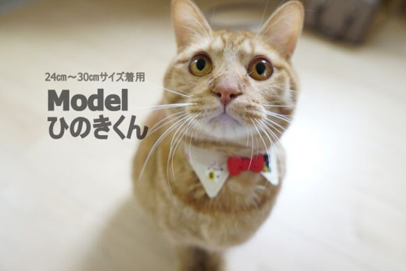 縁起のいい招き猫柄＊えり付猫ちゃん首輪 6枚目の画像