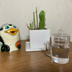 ガラスの醤油差しを探し求めて巡り会えました。液ダレしないすごい一品。ツマミ透明 ミニ汁次クリアS(SPC-03) 7枚目の画像