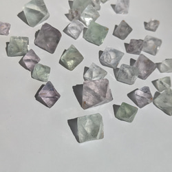 第9張的照片