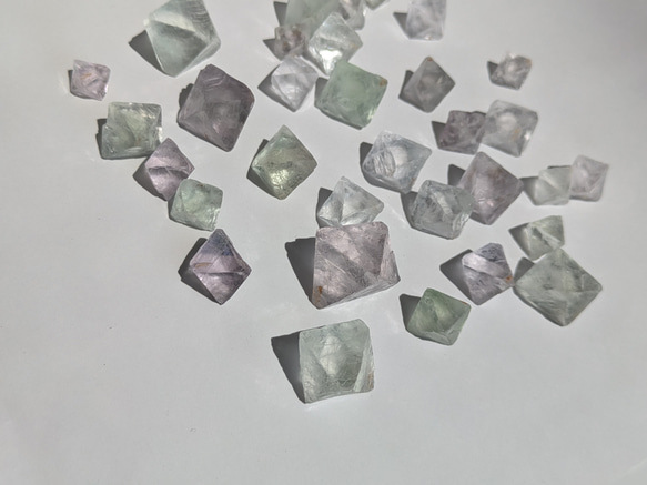  第9張的照片