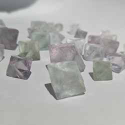  第10張的照片