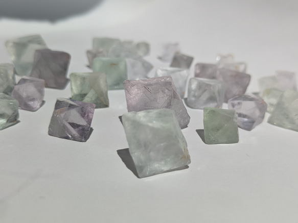  第10張的照片