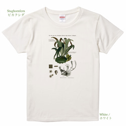 Botanical Life / マルシェ、ガーデニング、ピクニックにぴったりなヨーロッパのガーデナーTee. 6枚目の画像