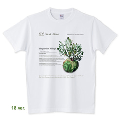 Botanical Life / マルシェ、ガーデニング、ピクニックにぴったりなヨーロッパのガーデナーTee. 2枚目の画像