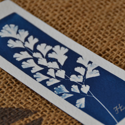植物剪影。藍曬書籤（四張一組） Botanic Cyanotype Bookmarks (4 in 1 set) 第4張的照片