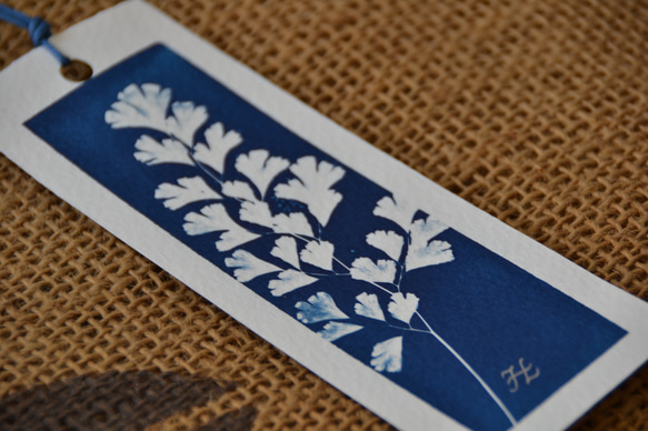 植物のシルエット。 Cyanotype ブックマーク (4 in 1 セット) Botanic Cyanotype ブックマーク 4枚目の画像