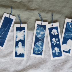 植物剪影。藍曬書籤（四張一組） Botanic Cyanotype Bookmarks (4 in 1 set) 第9張的照片