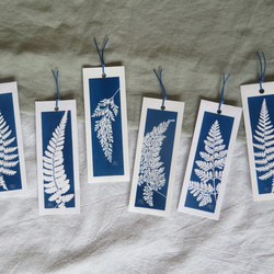 植物剪影。藍曬書籤（四張一組） Botanic Cyanotype Bookmarks (4 in 1 set) 第10張的照片