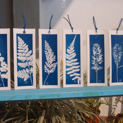 植物剪影。藍曬書籤（四張一組） Botanic Cyanotype Bookmarks (4 in 1 set) 第1張的照片