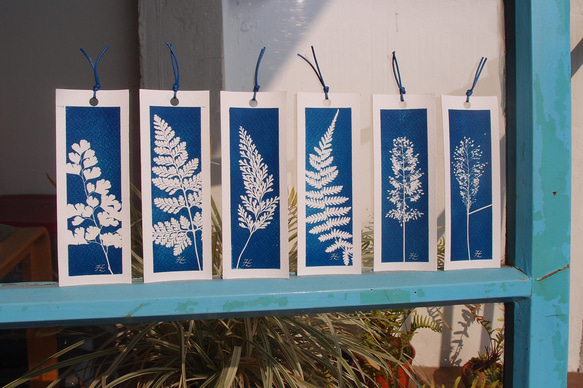 植物剪影。藍曬書籤（四張一組） Botanic Cyanotype Bookmarks (4 in 1 set) 第1張的照片