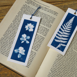 植物剪影。藍曬書籤（四張一組） Botanic Cyanotype Bookmarks (4 in 1 set) 第2張的照片