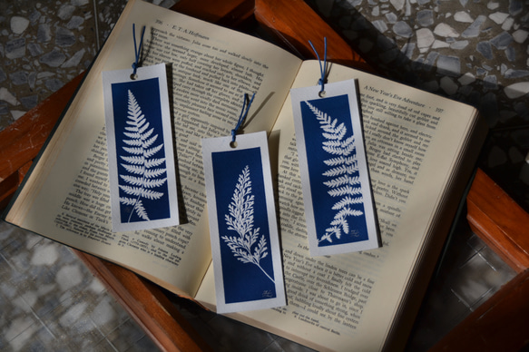 植物剪影。藍曬書籤（四張一組） Botanic Cyanotype Bookmarks (4 in 1 set) 第3張的照片