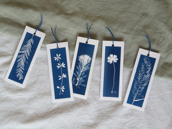 植物剪影。藍曬書籤（四張一組） Botanic Cyanotype Bookmarks (4 in 1 set) 第8張的照片