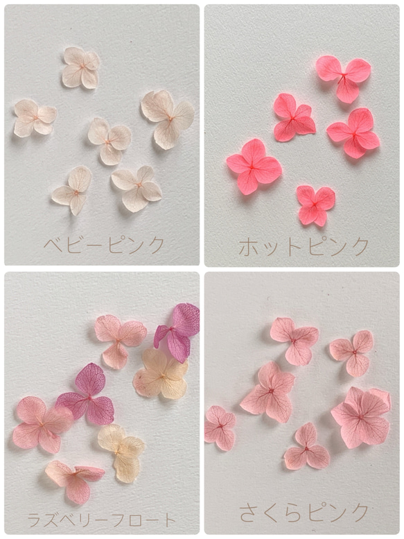 再販23【rie.t】本物の紫陽花のブローチ♡組み合わせ自由 6枚目の画像