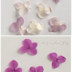 再販23【rie.t】本物の紫陽花のブローチ♡組み合わせ自由 9枚目の画像