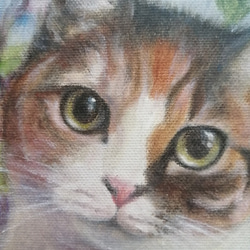 三毛猫とリンドウの絵　油絵原画「sincere eyes」 2枚目の画像