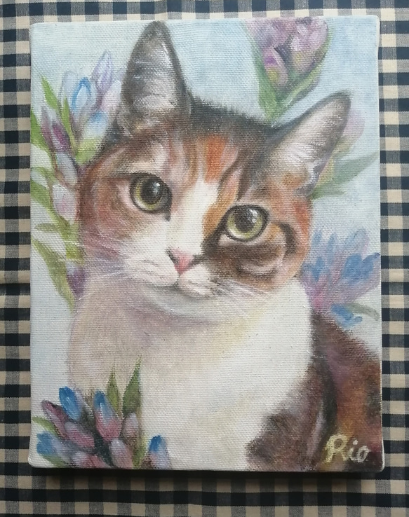 三毛猫とリンドウの絵 油絵原画「sincere eyes」 絵画 Rio Yuki