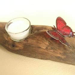 【温泉流木】蝶がとまるアロマキャンドルスタンド キャンドルホルダー 流木インテリア 1枚目の画像