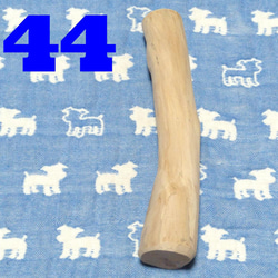 大量75g、48本、梨の木、小動物、デグーハムスター小鳥.歯磨き