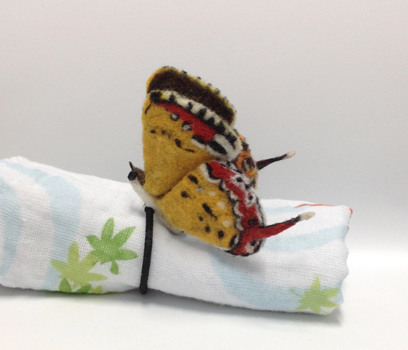 蝴蝶、紅邊黃小灰蝶-裝飾-羊毛氈 第1張的照片