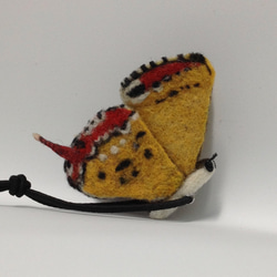 蝴蝶、紅邊黃小灰蝶-裝飾-羊毛氈 第3張的照片