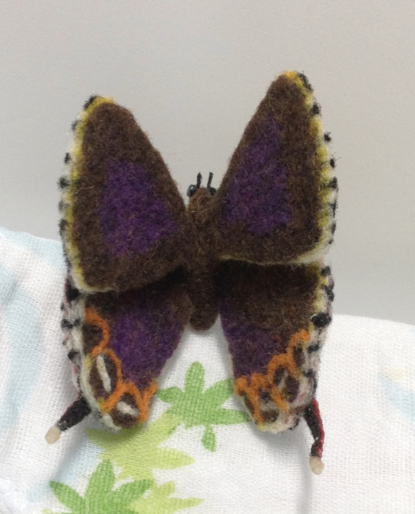 蝴蝶、紅邊黃小灰蝶-裝飾-羊毛氈 第5張的照片