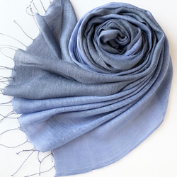 大人ネイビー＊艶めく大判シルク＊浅縹色×紺鼠色＊レーヨンシルク