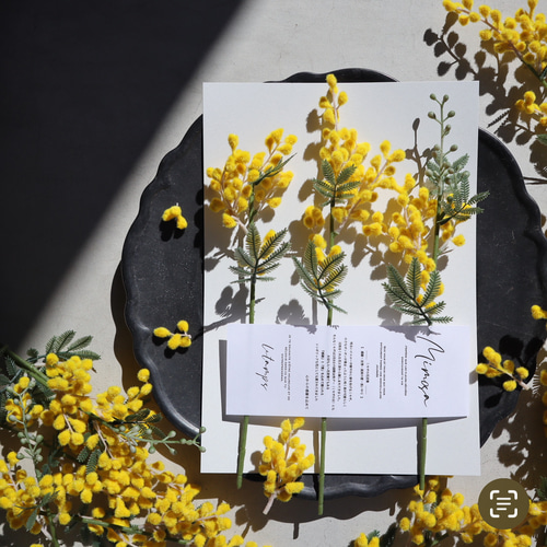 本数選べる］しあわせ運ぶ満開ミモザ♡ 3本 水のいらない 高品質アート