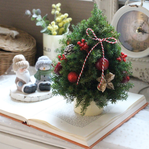 リンゴのミニツリー プリザーブドフラワー petit chocolat 通販