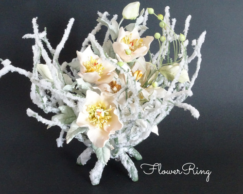 7630f1924247519aab7e24d4668c69